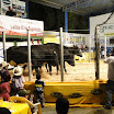 superleite2011_dia1507_210.JPG