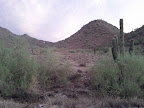 IMG_20110807_192925.jpg