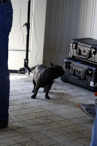 I will stand in as the photographer's assistant.  I'll hand him everything he needs from these cases.