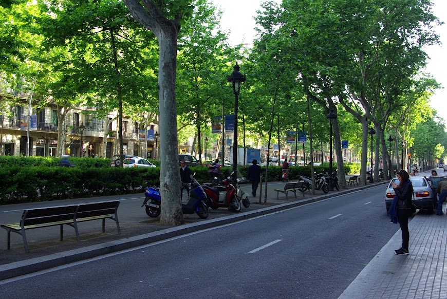 IMGP0481.JPG