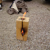 DSC09701 d.JPG