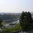 P1130366.JPG