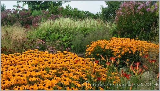 IMG_7567 IMG_7567
