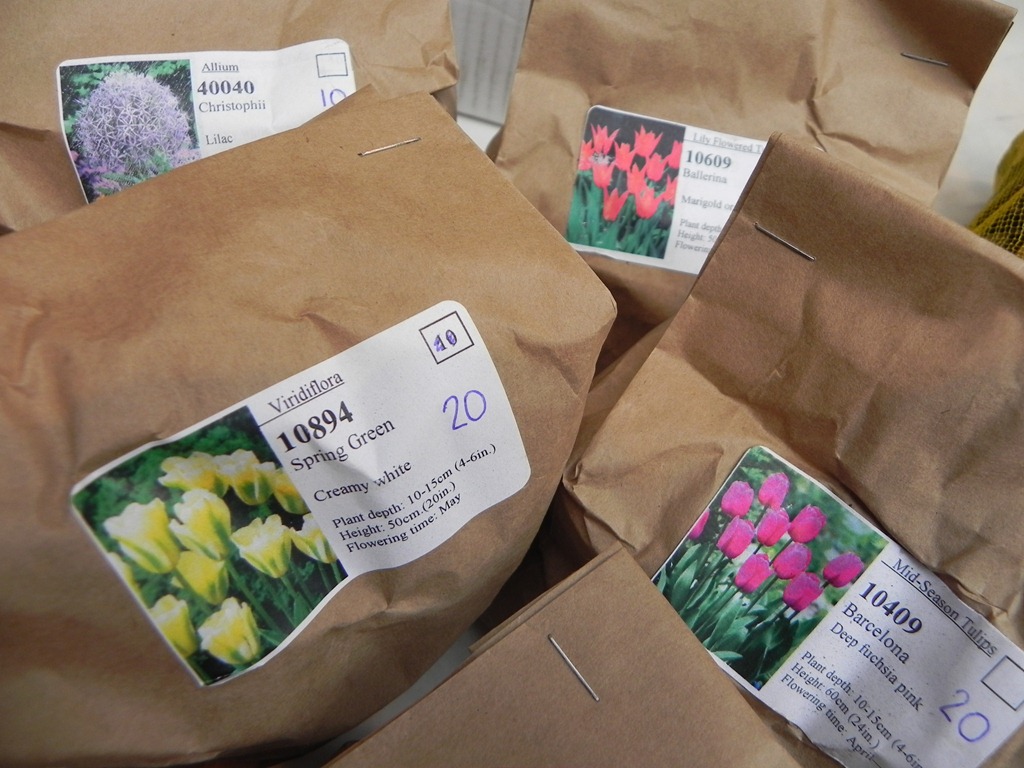 [DSCN7550%255B5%255D.jpg]