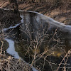 dsc06321.jpg