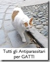 gatti_antiparassitari