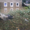 IMGP0539.JPG