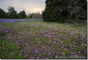 IMG_0744_5_6_7_tonemapped