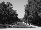 The view down Paseo de la Argentina in the Parque del Buen Retiro, Madrid.