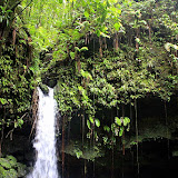 Tropical Beauty At Emerald Pool - Roseau, Dominica