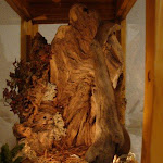 1563-2.jpg 1563-2.jpg