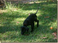 IMG_0243 IMG_0243