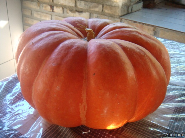 [DSC00016%255B8%255D.jpg]