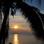 P1100259.JPG