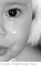 'Don't forget me!' photo (c) 2006, ViV@MiViD@ - license: http://creativecommons.org/licenses/by-nd/2.0/