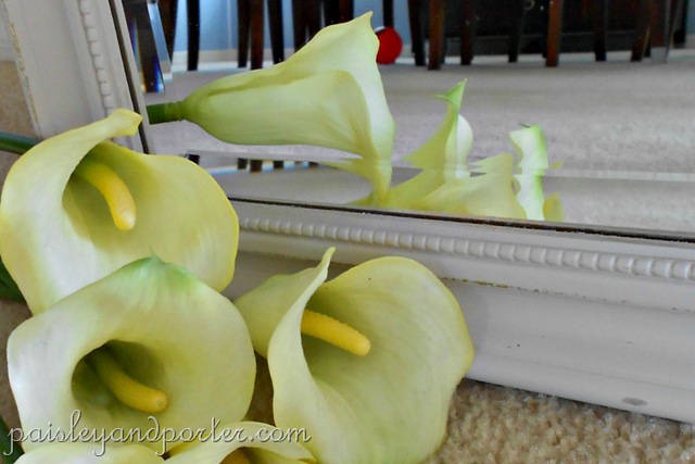 [DSCN1583-1%255B3%255D.jpg]