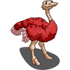 Red Ostrich