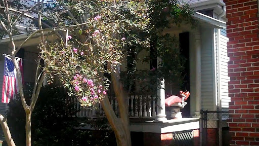 Porch dentistry