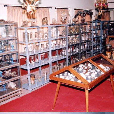 Zoo-Mus2.jpg