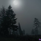 IMG_1341xx.jpg IMG_1341xx.jpg