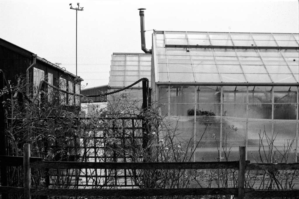[Student-Greenhouses-2%255B4%255D.jpg]