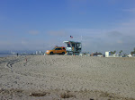 IMG00639-20100129-1539.jpg