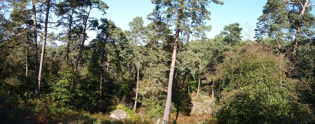 [valle-du-Cassepot2.jpg]