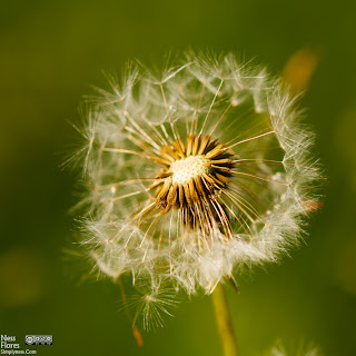 tamron180reviewsample-4 tamron180reviewsample-4