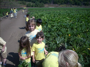 Looking for some squash!