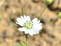 DSC_7777.jpg