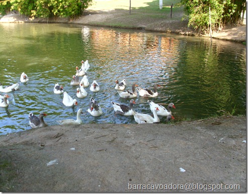 IMG_0519 IMG_0519