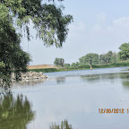 IMG_7775.JPG