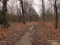 dsc05375.jpg