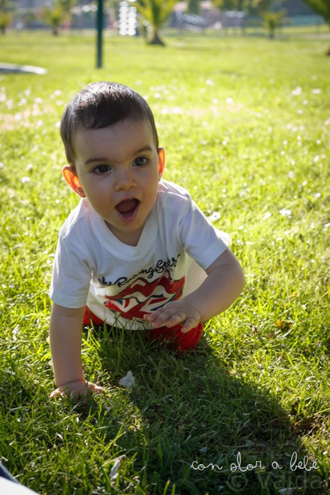 IMG_5111 IMG_5111