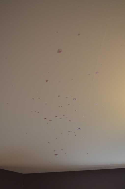 [DSC_2409%255B3%255D.jpg]