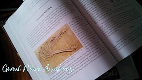 [dino%2520bird%255B3%255D.jpg]