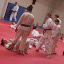 Pinselejr 2011
