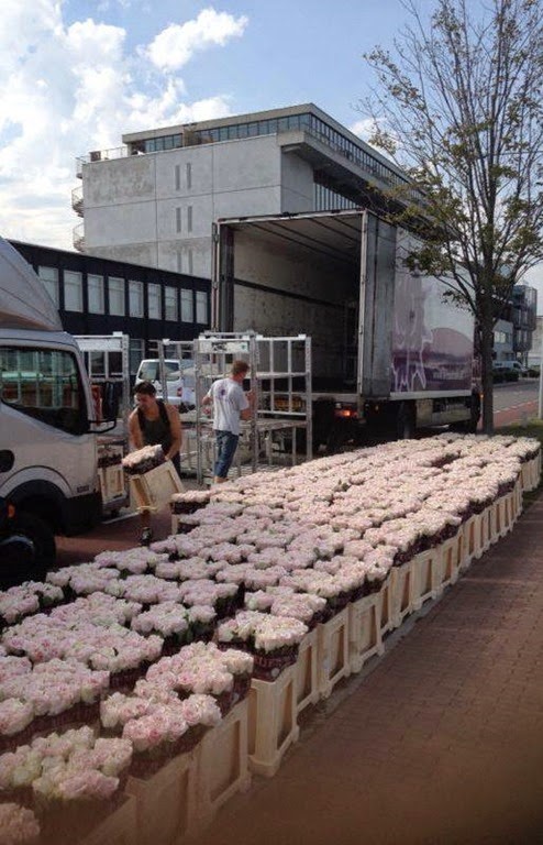 [behind-the-scenes-flower-shipment--b.jpg]