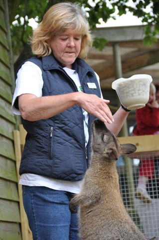 [Pam%2520White%2520with%2520Wallaby%2520%2528resized%2529%2520DSC_0173%255B7%255D.jpg]