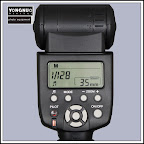 yn56021.jpg