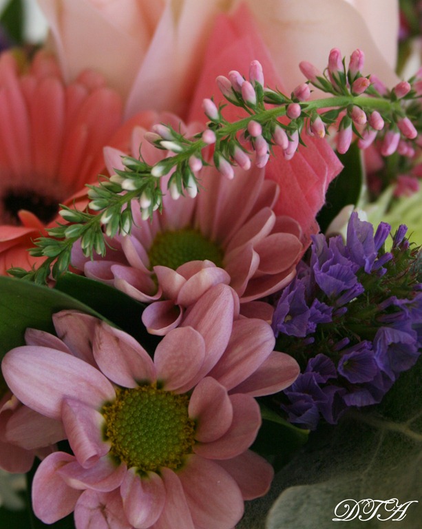 [easter%2520046%255B4%255D.jpg]