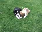 JULEN Y KITZIA  jugando en el parq