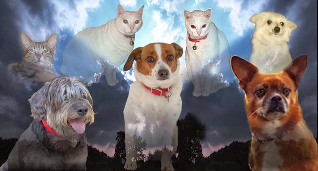 [Untitled-1%2520copy%255B1%255D.jpg]