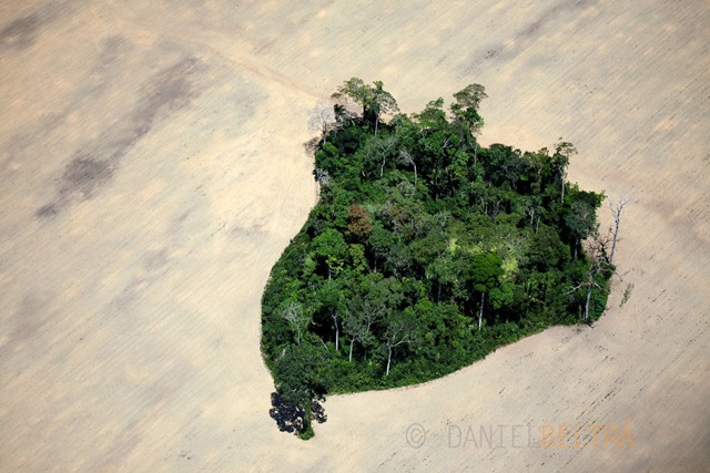 [01_rainforest_amazon_beltra_island2%255B4%255D.jpg]