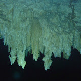Cave Diving in Mexico