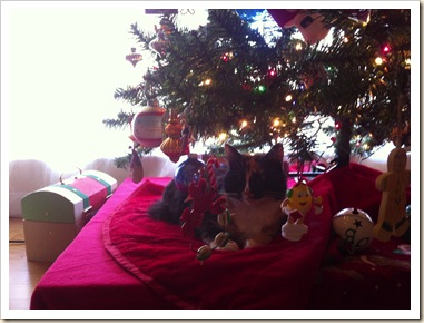 katie under the tree