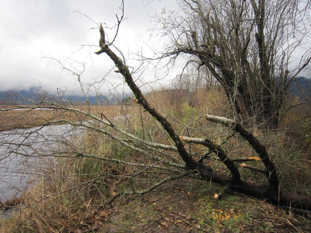 [IMG_6338%255B3%255D.jpg]