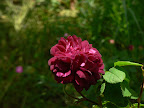 P1090073.JPG
