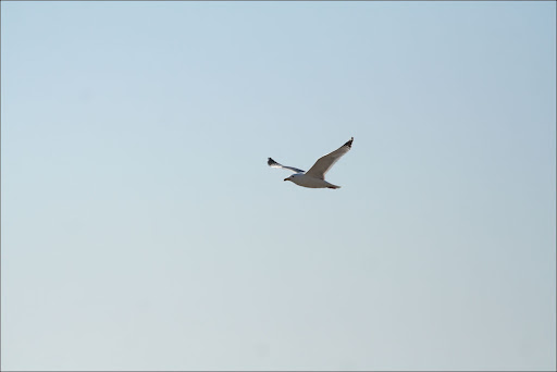 IMG_8507.jpg
