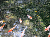 IMG_2375.JPG